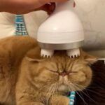 Head massager16.jpg