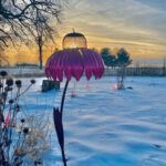 flower bird feeder7.jpg
